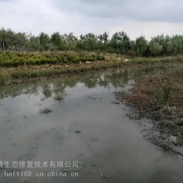 河湖黑臭水体治理工程固液分离剂