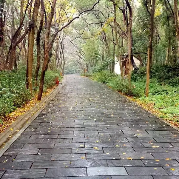 江西青石板园林铺地贴砖天然绿色板岩庭院黑色板岩庭院自然面防滑地砖 仿古砖