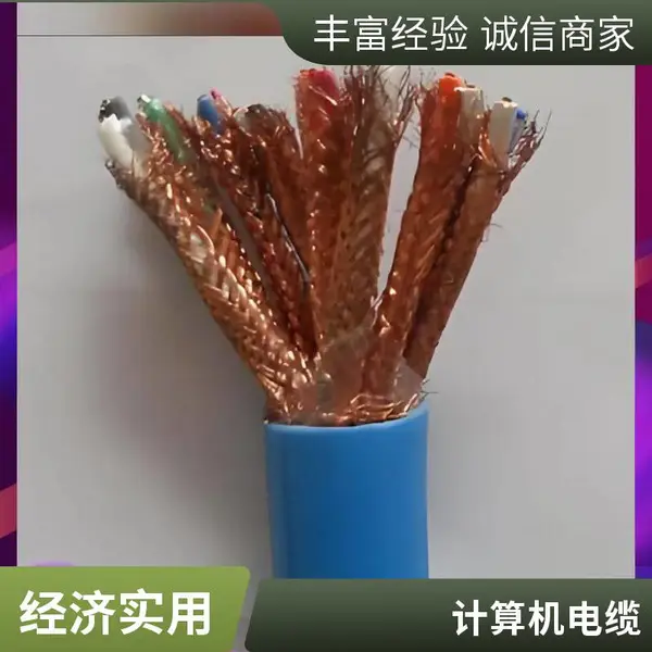 ia-ZRC-DJYP2VP2-22-2*2*0.75阻燃本安计算机电缆/厂家