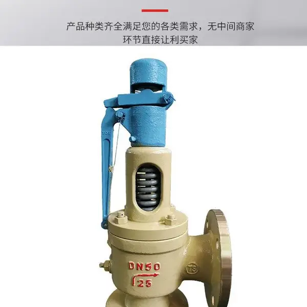 A41H-16C弹簧微启式安全阀 铸钢材质法兰连接蒸汽泄压阀