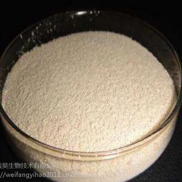 益昊20亿水产专用丁酸梭菌