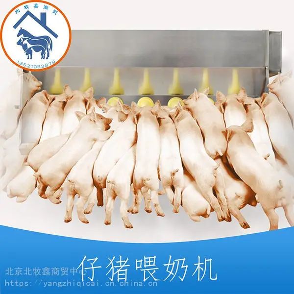 优质仔猪喂奶机 自动恒温小猪补奶机好用