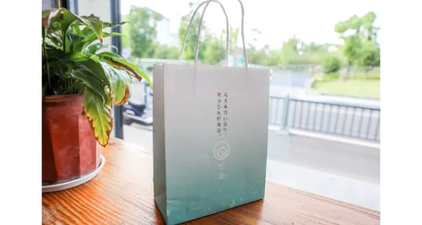 江苏纸质手提袋批量制作咨询 上海市丽邱缘科技供应