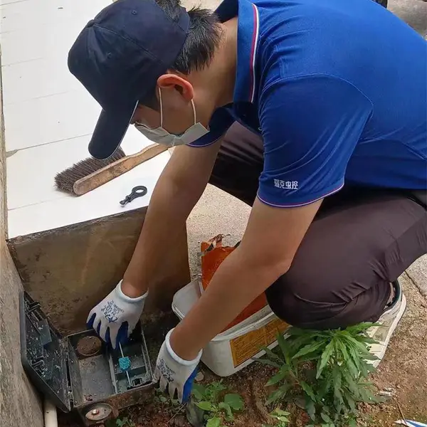 学校灭鼠方案哪家好-广州学校灭鼠方案-瑞克害虫防治正规资质