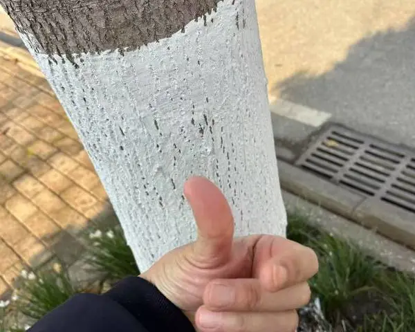 咸宁杀虫灭菌涂白剂如何选 武汉市凯灵特新型材料供应