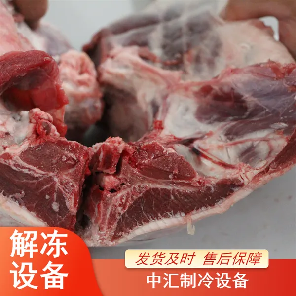 解冻设备 鸡腿解冻机 鸡胸肉化冻机 解冻流水线定做厂 效果好