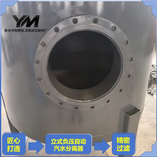 立式负压自动汽水分离器医药真空系统立式负压分离器