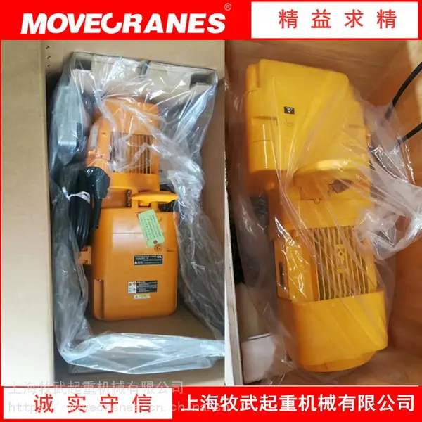 环链电动葫芦 供应自动化流水线环链电动葫芦 铸造环链电动葫芦