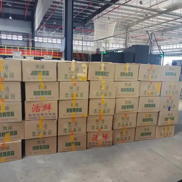 北京空运 航空货运 航空物流 航空快递