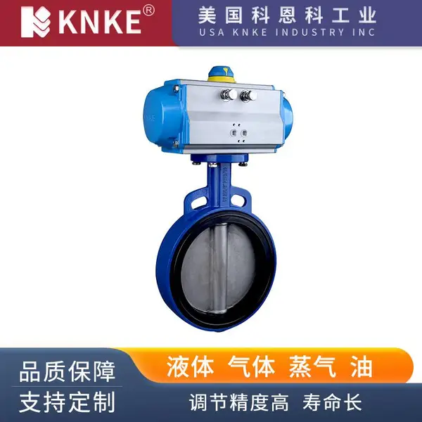 进口卫生级蝶阀 品牌:美国KNKE科恩科