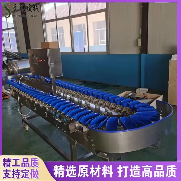 自动称重重量分选机 扇贝称重分级挑选分选机