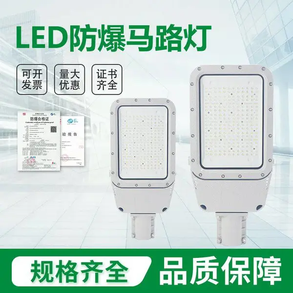 LED防爆路灯50W 100W 120W IIC级一体式照明道路灯