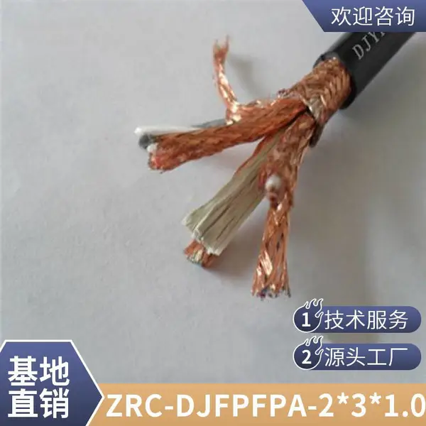 ZR-DJFPVP-2*2*1.0防腐屏蔽信号电缆 后面一个P指总屏蔽