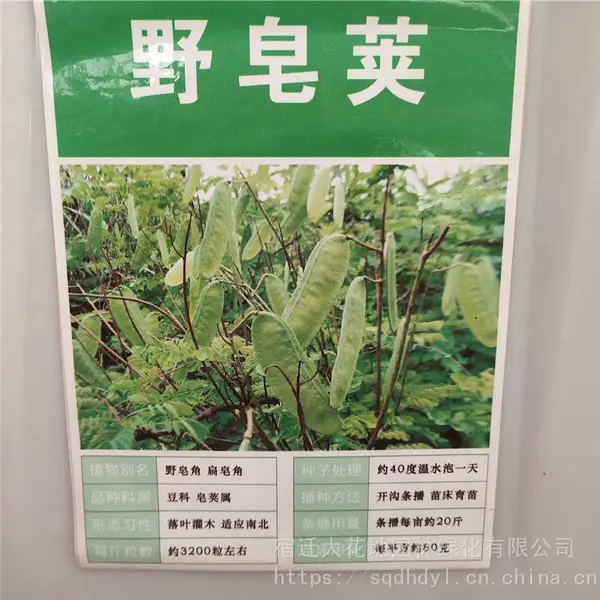 �����²�ժ��ľ���� Ұ�������� ��ѿ*** �۸���� ***