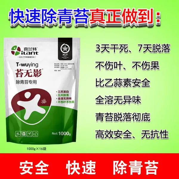 苔无影除青苔专用柑橘砂糖橘果树安全快速除青苔不伤叶幼果