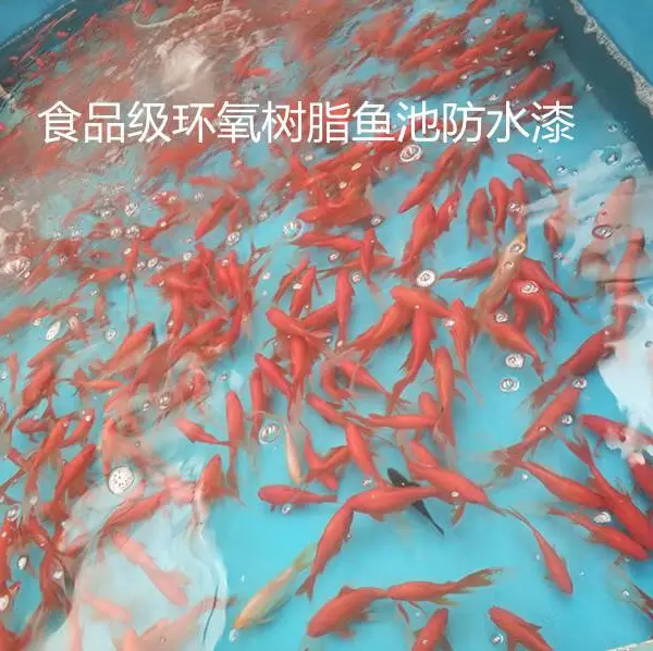 食品级环氧树脂防水漆LD-2010自干型水泥池防水防腐涂料