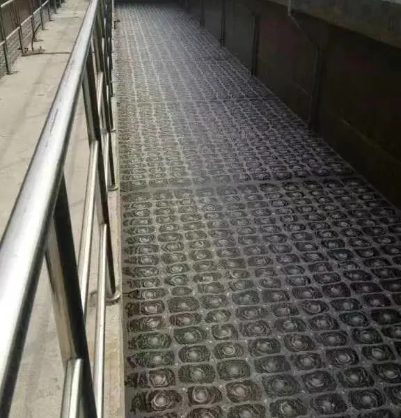 曝气盘 膜片曝气器 微孔曝气盘 污水处理曝气系统配件 支持定制 发货及时