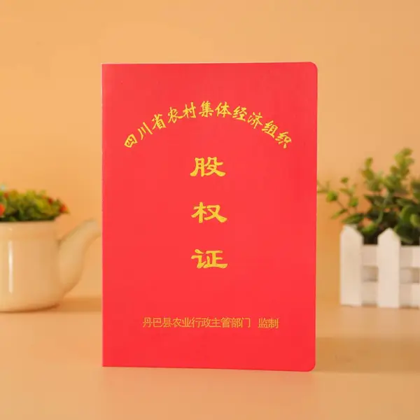 专业定做 村民股权证书 香港股权证书