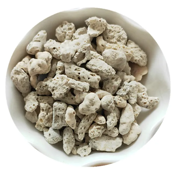 供应河北珊瑚沙价格 过滤用珊瑚骨 珊瑚砂滤料厂家