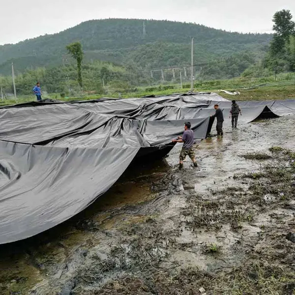 福州泳池蓄水池专用土工膜