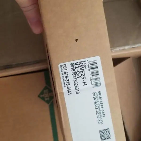 双保持架楔块式超越离合器(逆止器)