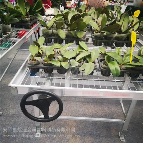 温室苗床设施移动苗床——农业育苗的得力助手
