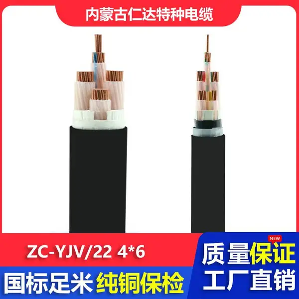仁达电缆 国标电线 ZC-YJV22 0.6/1KV 低压电力电缆 铜芯铠装线 4*6mm?