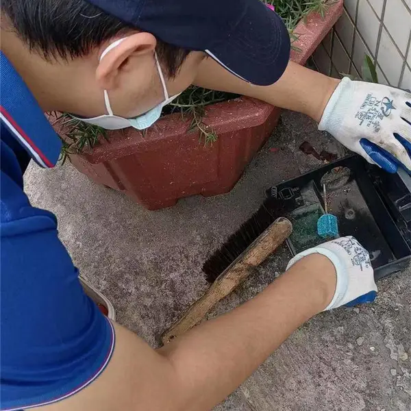 广州灭鼠公司一次价格-瑞克害虫防治-潮州广州灭鼠公司