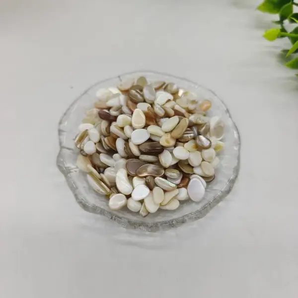 供应 倒角抛光贝壳砂 美甲装饰 鱼缸底砂 贝壳沙