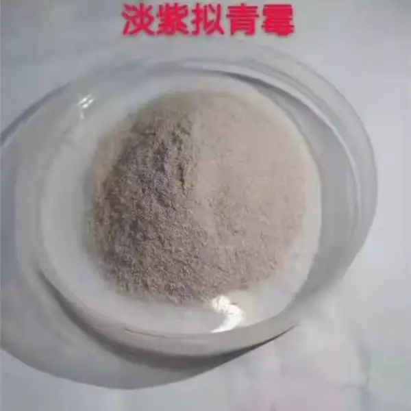 淡紫拟青霉全水溶可滴灌 淡紫紫孢菌源头工厂可定制含量可代工