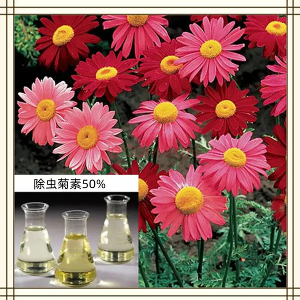 �������25% ˮ�ܰ��� �������ȡ�� 1������ ����