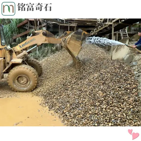 广 东鹅卵石低廉铺路石,鹅卵石景观设计石,清 远鹅卵石产地供应