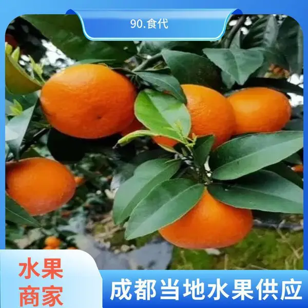 ˮ���� ���� Ӧ�� ������������ ��ˮ���� ���г�