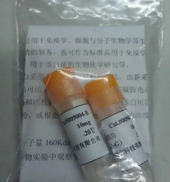 牛免疫球蛋白G(IgG) 东方化玻 型号:ZY625-D349194库号:D349194