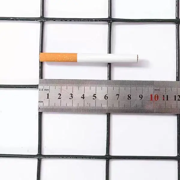 浸塑圈地护栏网 加粗果园铁丝网 圈鸡绿色铁笼子