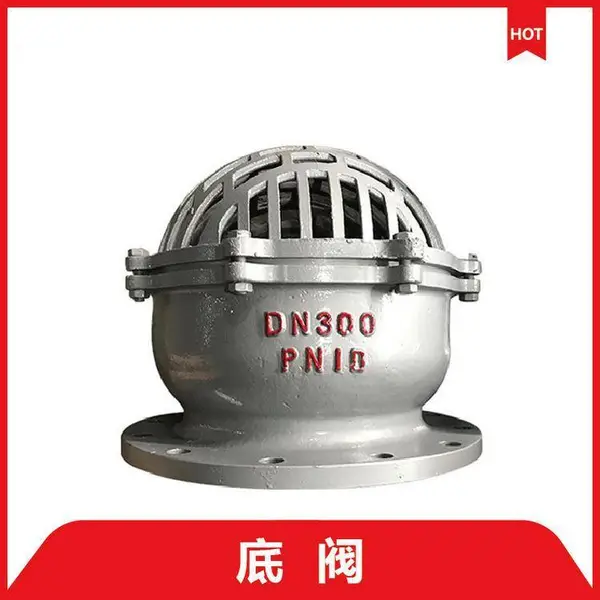 H42X-10C 铸钢底阀 潜水法兰底阀 莲蓬头底阀南高阀门