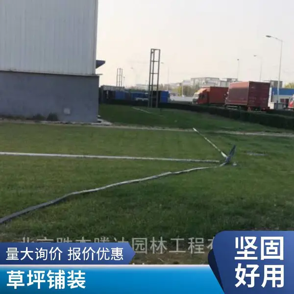 家庭庭院绿化草坪基地别墅花园设计施工草坪铺装基地房山