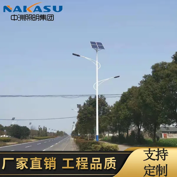 10米12V太阳能路灯高低臂臂新农村建设专用超亮LED路灯农村路灯采购
