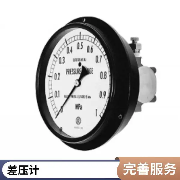 京都玉崎优势经销NKS长野氨用差压计 DG95-F5320 D-300