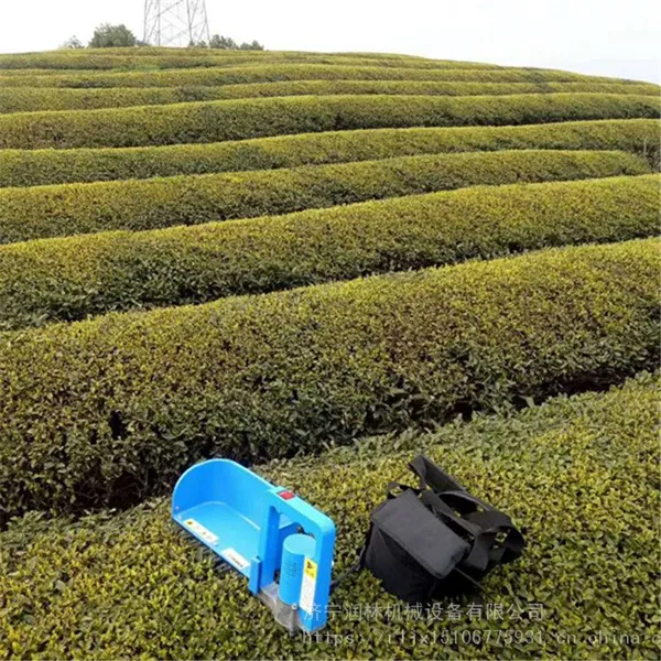 小型电动采茶机 背负式24v茶叶收货机 单人茶园修剪机