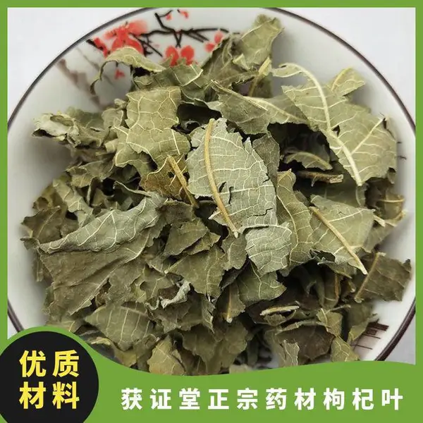 获证堂正宗药材枸杞叶 原材料地仙苗出售 无硫中药材甜菜