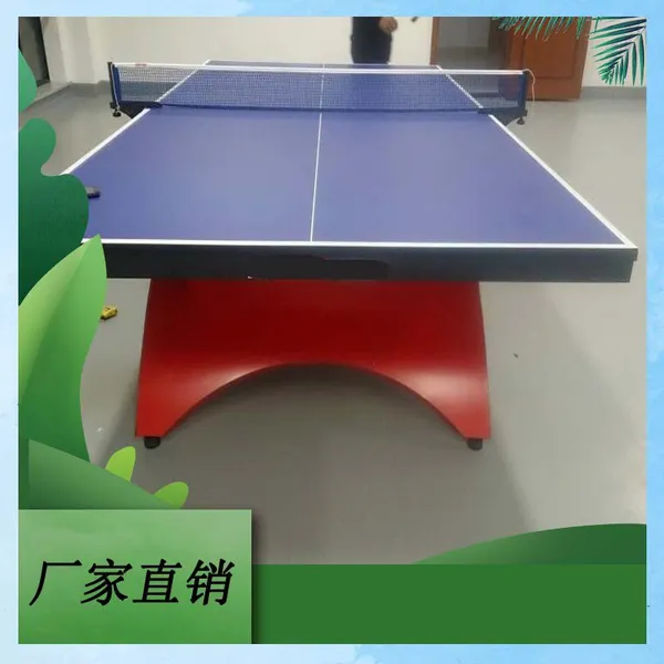 室内标准大彩虹乒乓球台
