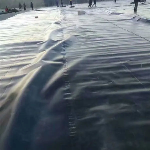 �ӱ�����Ĥ ����Ĥ������������