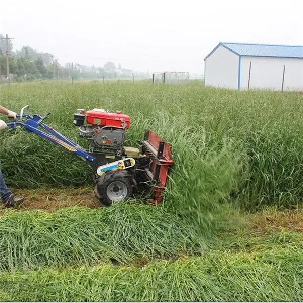 «έ������ǰ�ø�˻� ����С���ַ���ɹ��