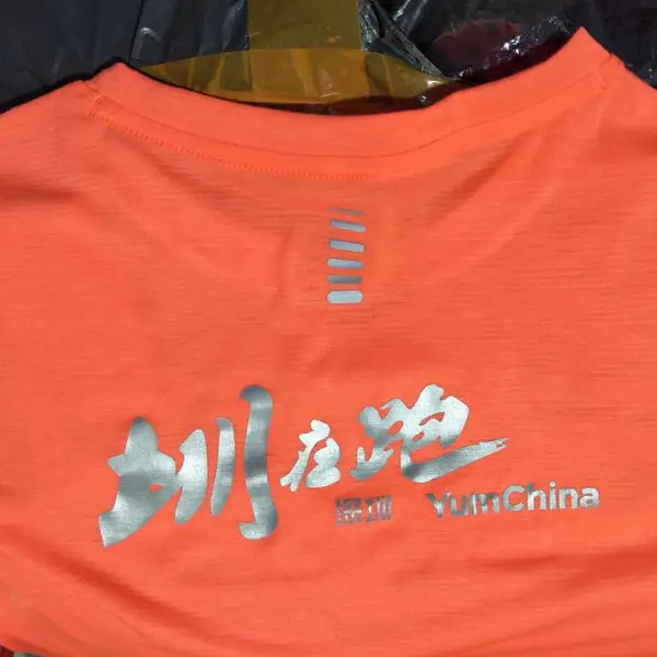 帽子T恤绣花电脑刺绣,T恤热转印花印字