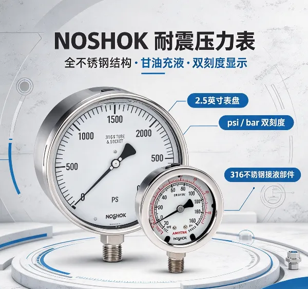 (美国原装)NOSHOK不锈钢压力表25-510-30/100-psi/bar-SPMC