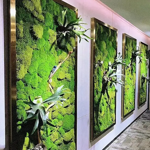 四川成都苔藓植物墙景观装饰创意苔藓植物墙设计施工永生苔藓厂家