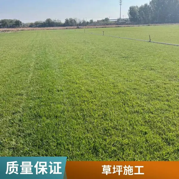 密云别墅花园设计户外草坪铺装庭院草坪铺装家庭庭院设计批发