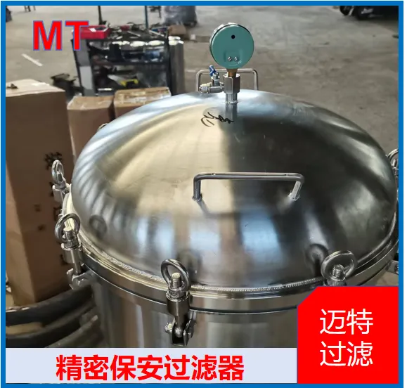 304 精密保安过滤器 电子超纯水制备 前置保安过滤去除细小泥沙杂质
