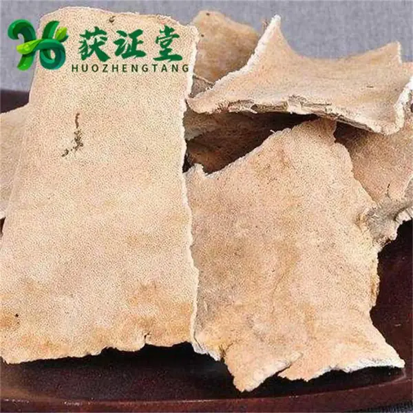 正宗无硫白耙齿菌 耙齿大块批发 中药材配方